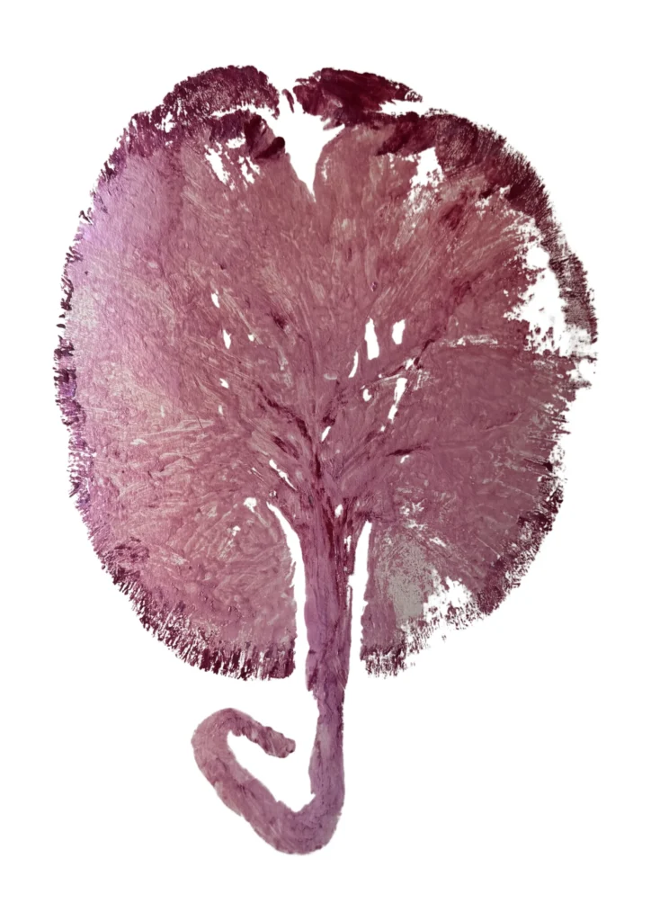 Placenta print in dusty rose tones