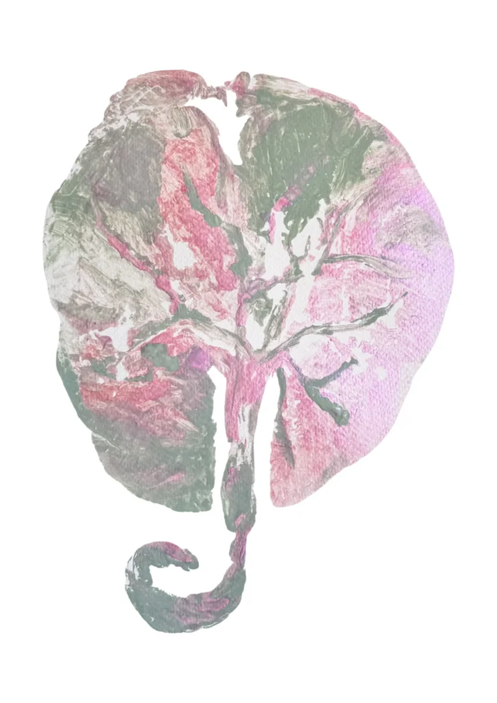 Placenta print in pink, green and red tones