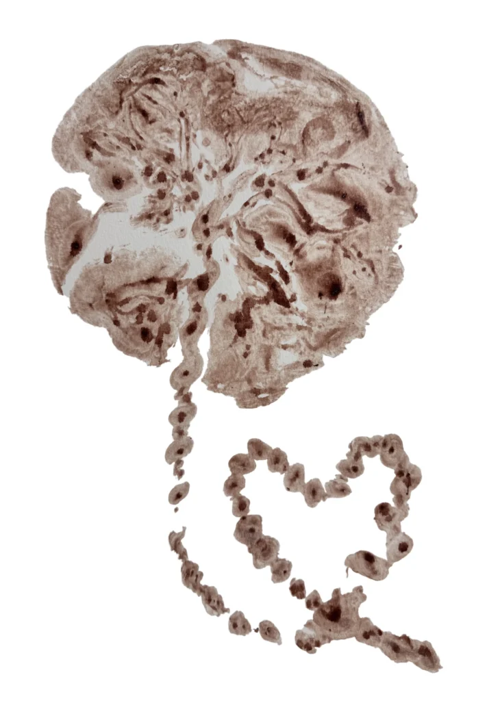 Placenta print in brown tones