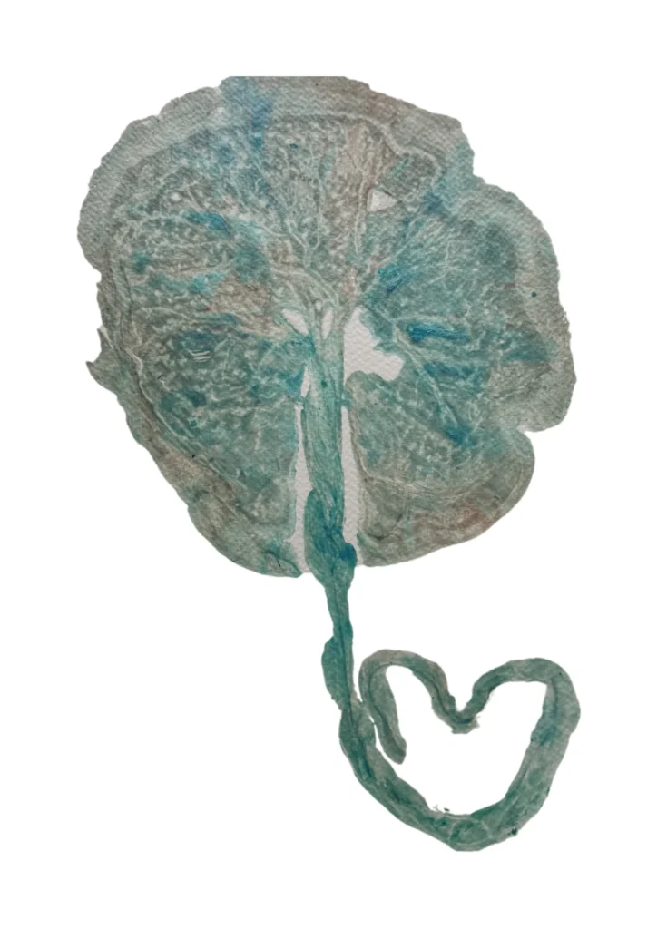 Placenta print in muted teal and beige tones