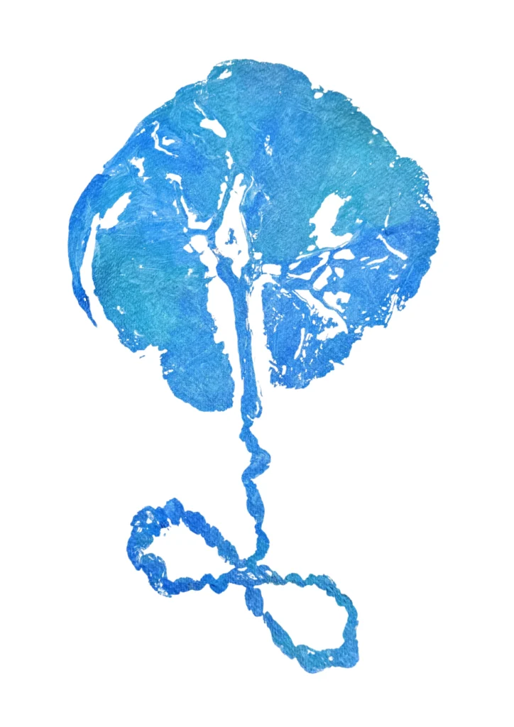 Placenta print in light blue tones