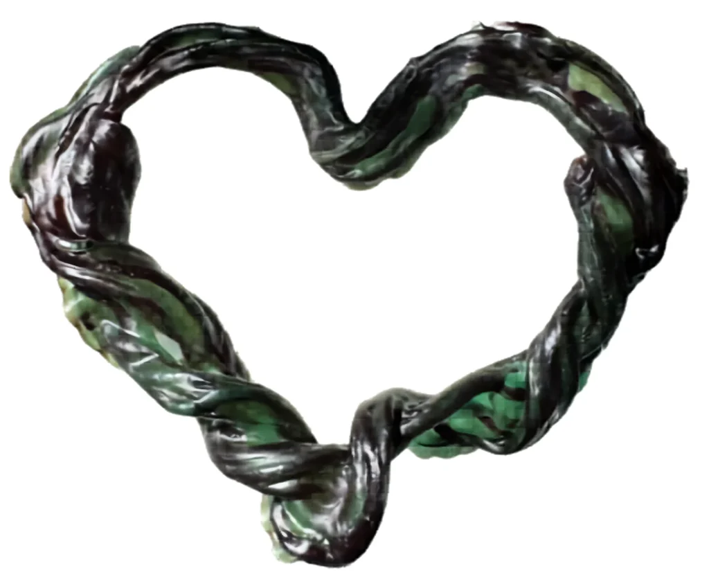 Umbilical cord keepsake shaped like a heart, in dark green